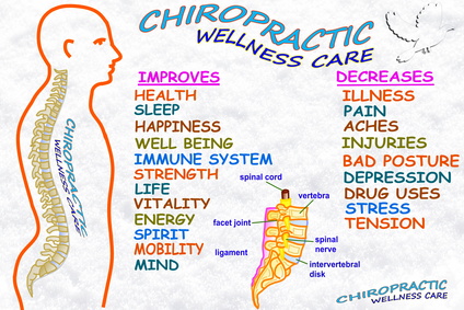 Chiropractic Wellness Center Appointment Software